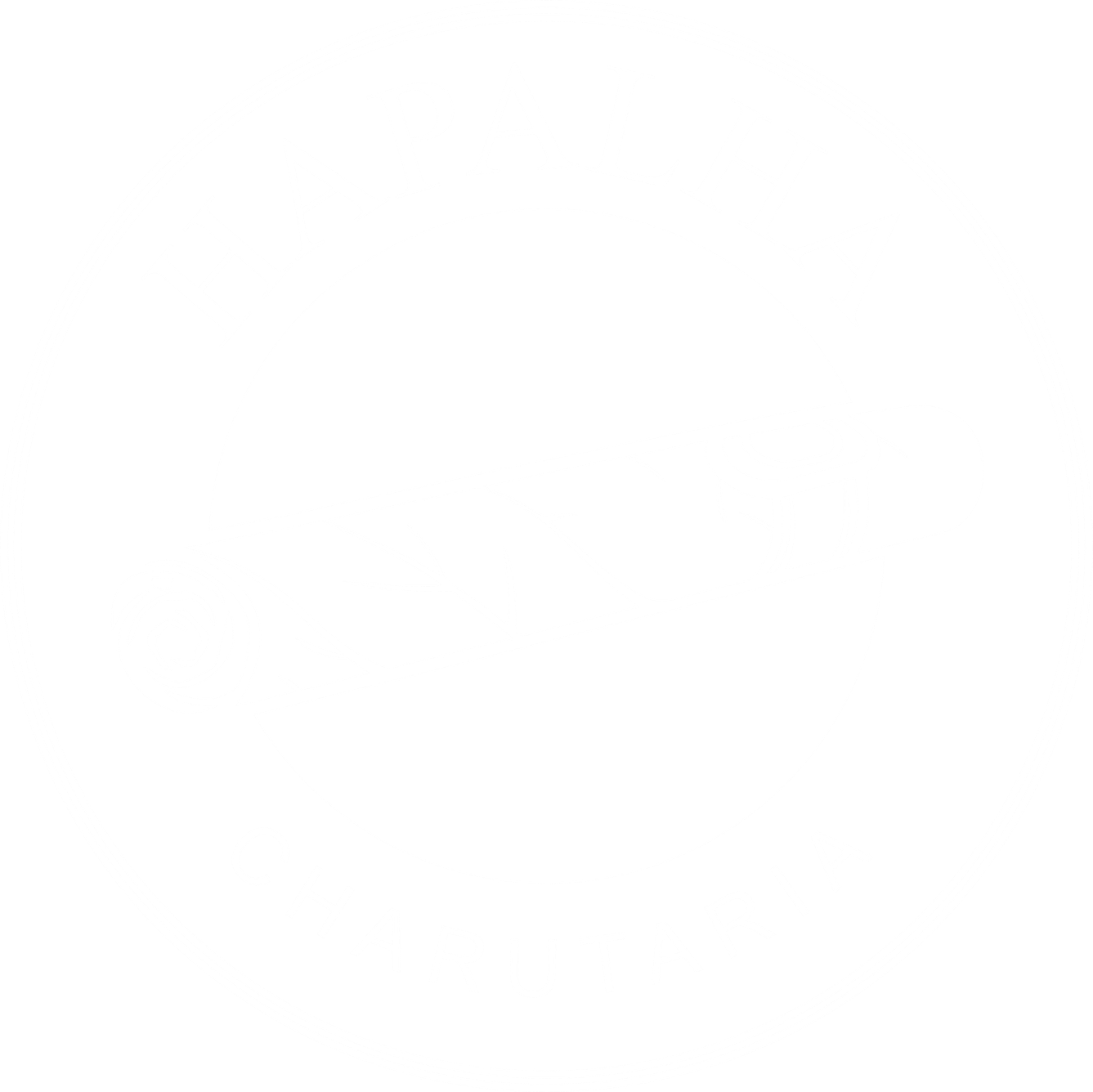 Hapalha Charutaria